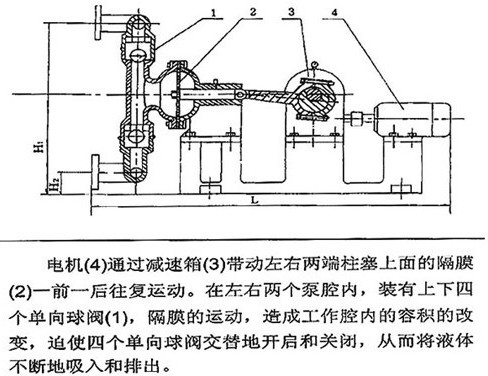 DBY电动隔膜泵结构图